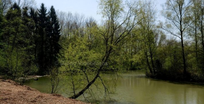 Florennes – kopie