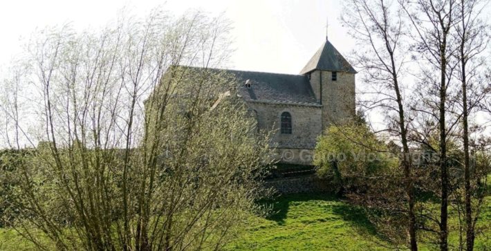 Héron – kopie